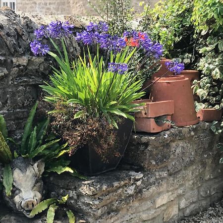 Norburton Hall Cottages ブリッドポート エクステリア 写真