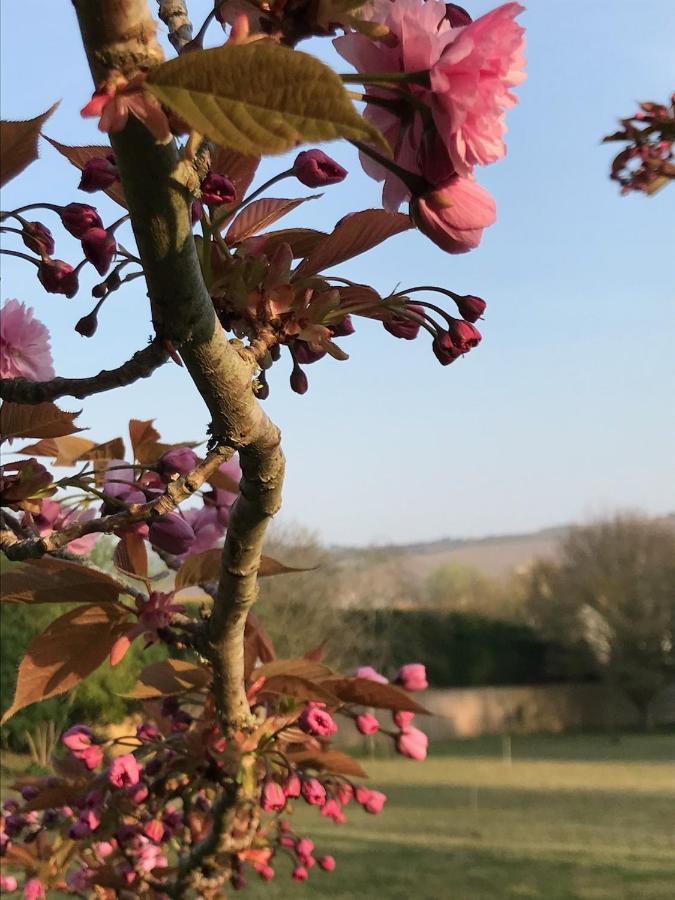 Norburton Hall Cottages ブリッドポート エクステリア 写真